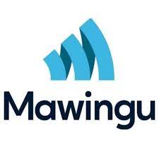 Social Impact Officer at Mawingu Foundation