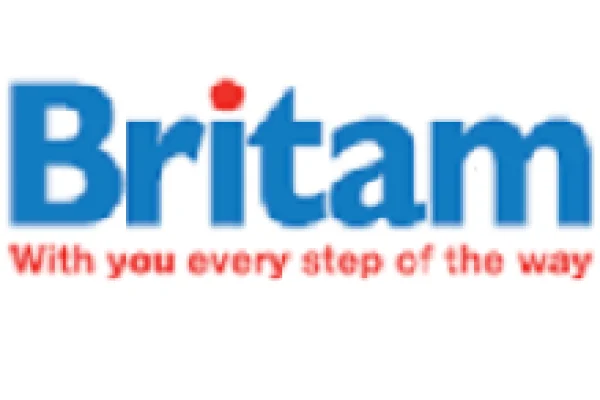 Sales Team Leader at Britam Holdings Limited