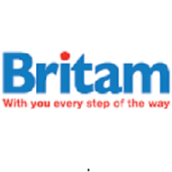 Sales Team Leader at Britam Holdings Limited