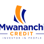 Head of IT at Mwananchi Credit Limited