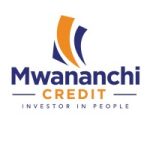Assistant Customer Service Manager at Mwananchi Credit Ltd