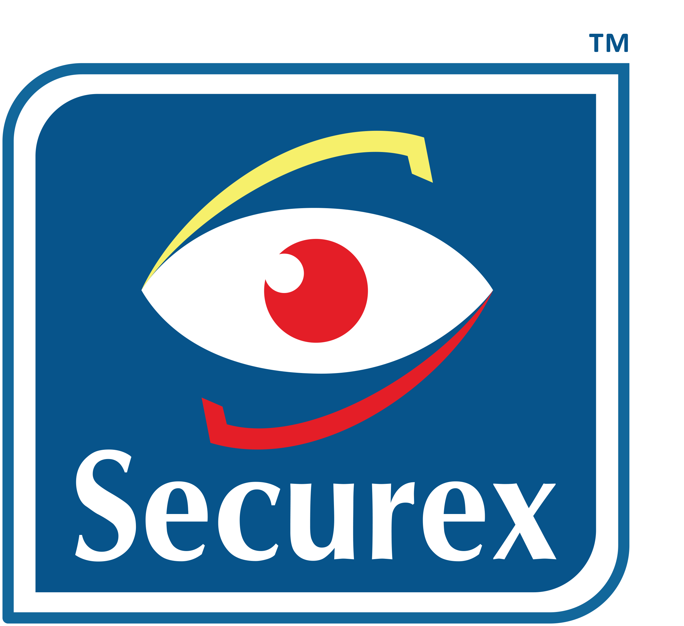 Jobs at Securex Agencies Ltd