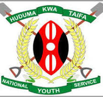 Motor Vehicle Drivers at National Youth Service (NYS) - (200 Posts)