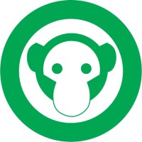 Influencer Marketing Manager at Digital Monkeys
