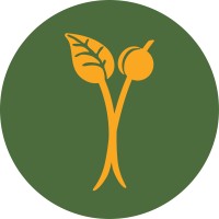 Sales Intern at ForestFoods LLC