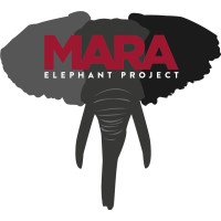 Grants Management Officer at Mara Elephant Project