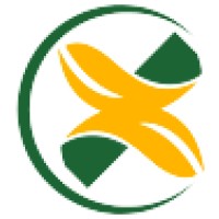 Architectural Intern at Georole Architectural Intern at Georole