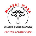 Lead the Future of Conservation — CEO Opportunity at Maasai Mara Wildlife Conservancies Association (MMWCA)
